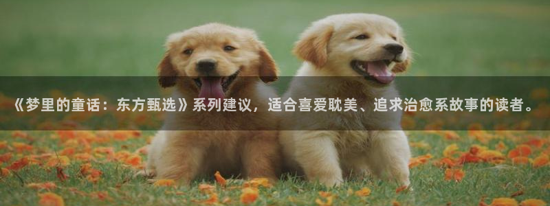 囧次元无广告版