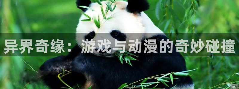 囧次元官网下载