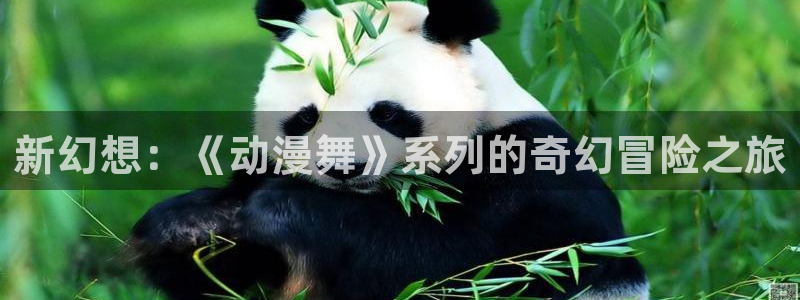 囧次元下载安装