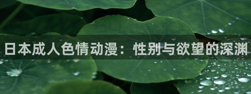 囧次元app官方下载