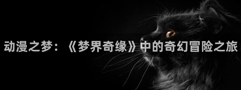 囧次元下载最新